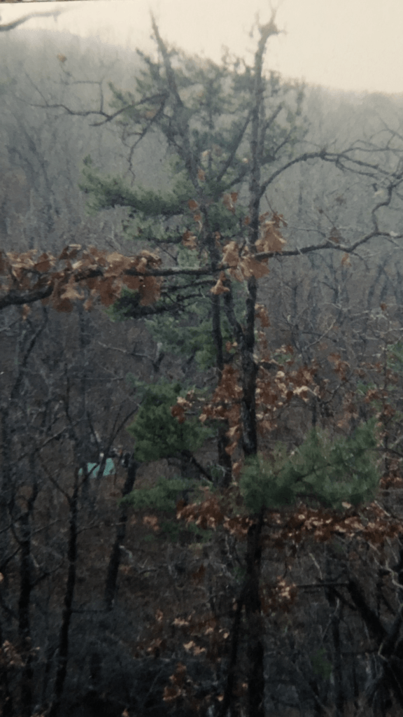 Backpacking in the Ouachita National Forest of Arkansas